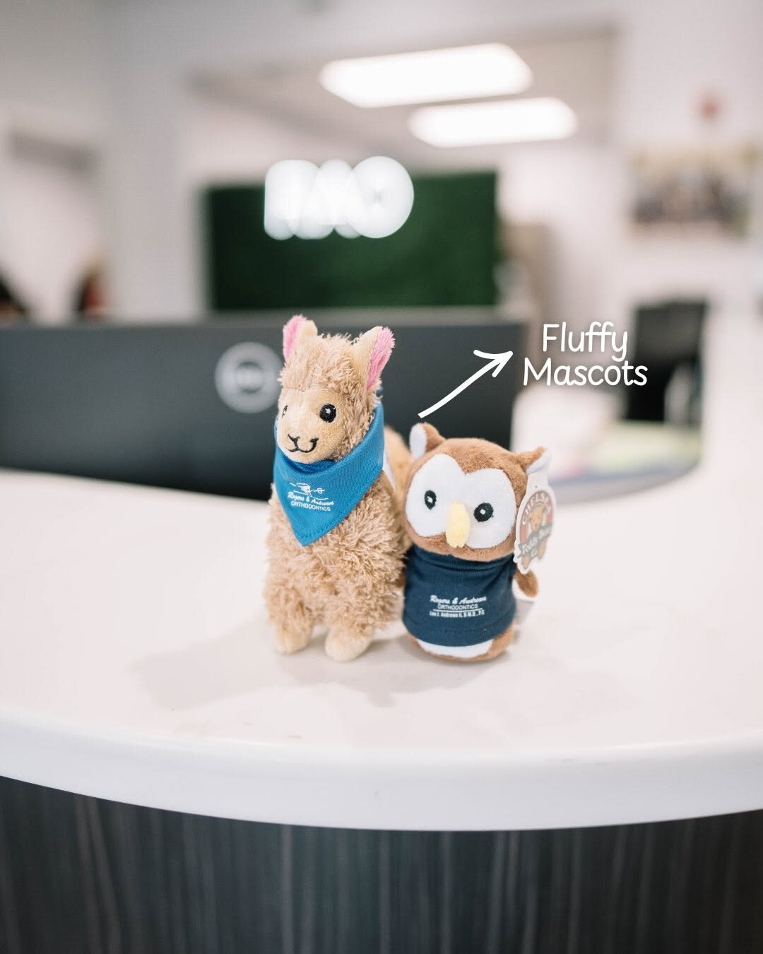 Rogers & Andrews Orthodontics plush mascots at the front desk